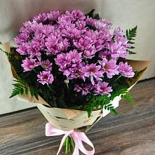 Букет цветов из:  Хризантемы #REPLACE_PRED# Кореизе