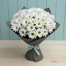 Букет цветов из:  Хризантемы #REPLACE_PRED# Кореизе