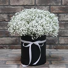 Цветочная композиция из Гипсофила в шляпной коробке в Кореизе