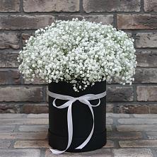 Цветочная композиция из Гипсофила в шляпной коробке в Кореизе