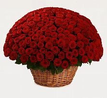 Премиум букет из: Розы в Кореизе